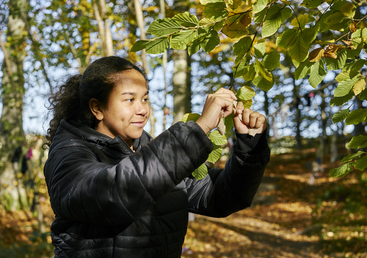  In dappled sunlight, teenage girl ties cloth rag to branch of tree at the Clootie Well, Munlochy, Black Isle