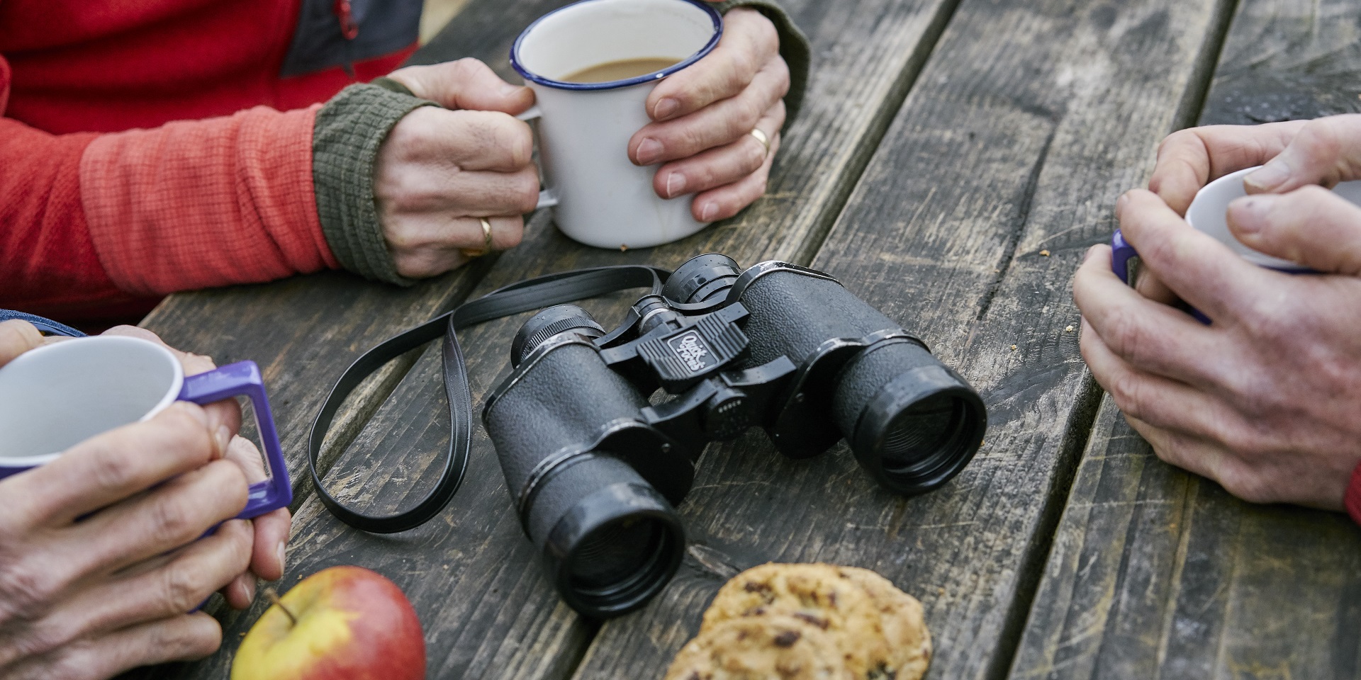 Drooping conifer branch