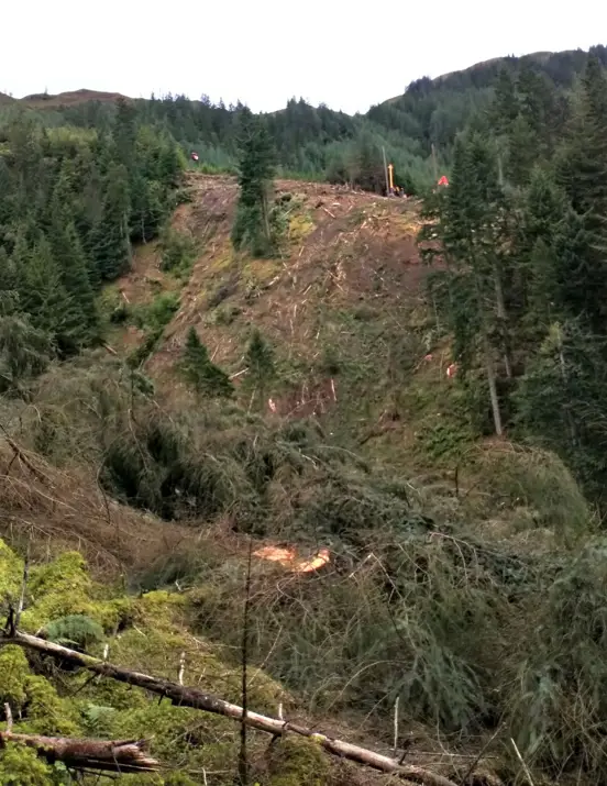 The steep forested hillside at Wades Bridge