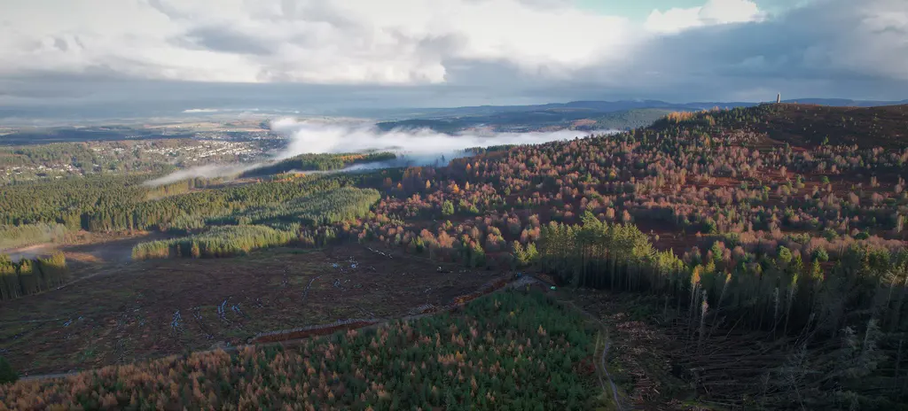 Mixed woodland with mist rising and the town of Banchory in the background. 