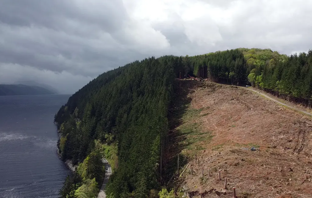 Aerial view of felled trees on a steep hillside with the road and loch below.