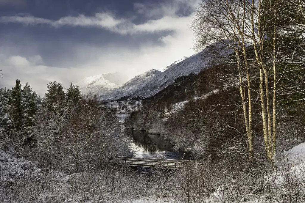 Snowy glen with trees in the foreground and a bridge over water.