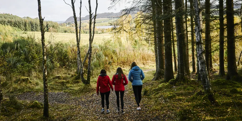 Three women in jackets walking on a forest path.