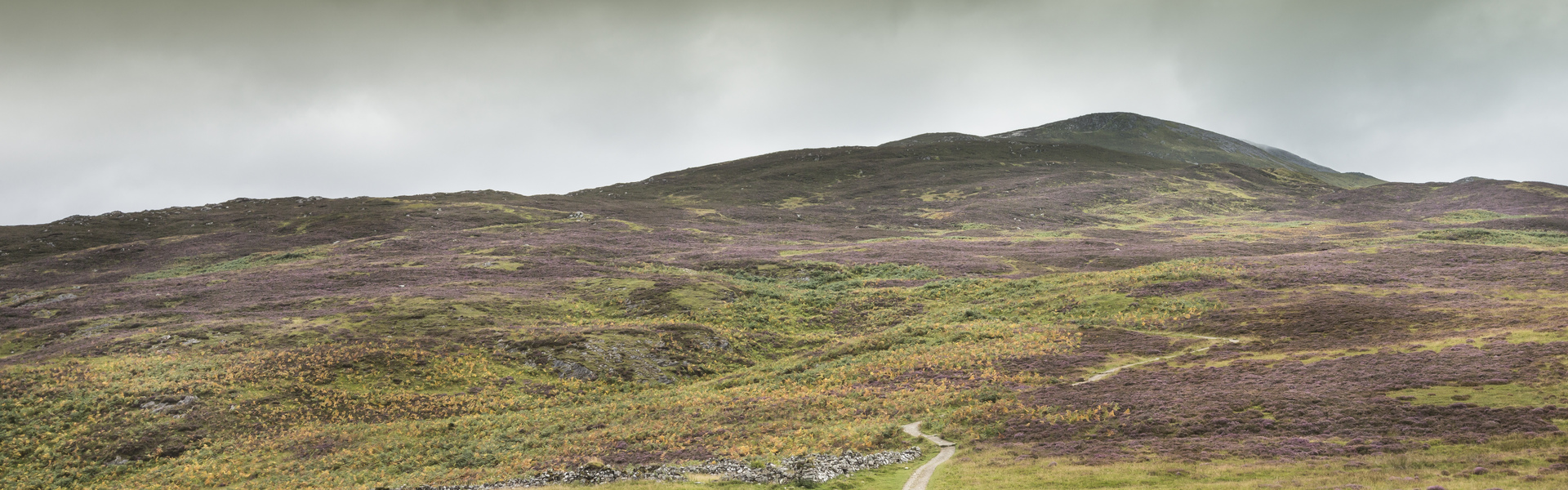 Close up of tree bark