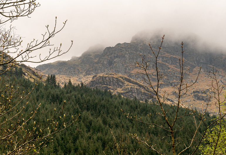 Mountains covered by fog