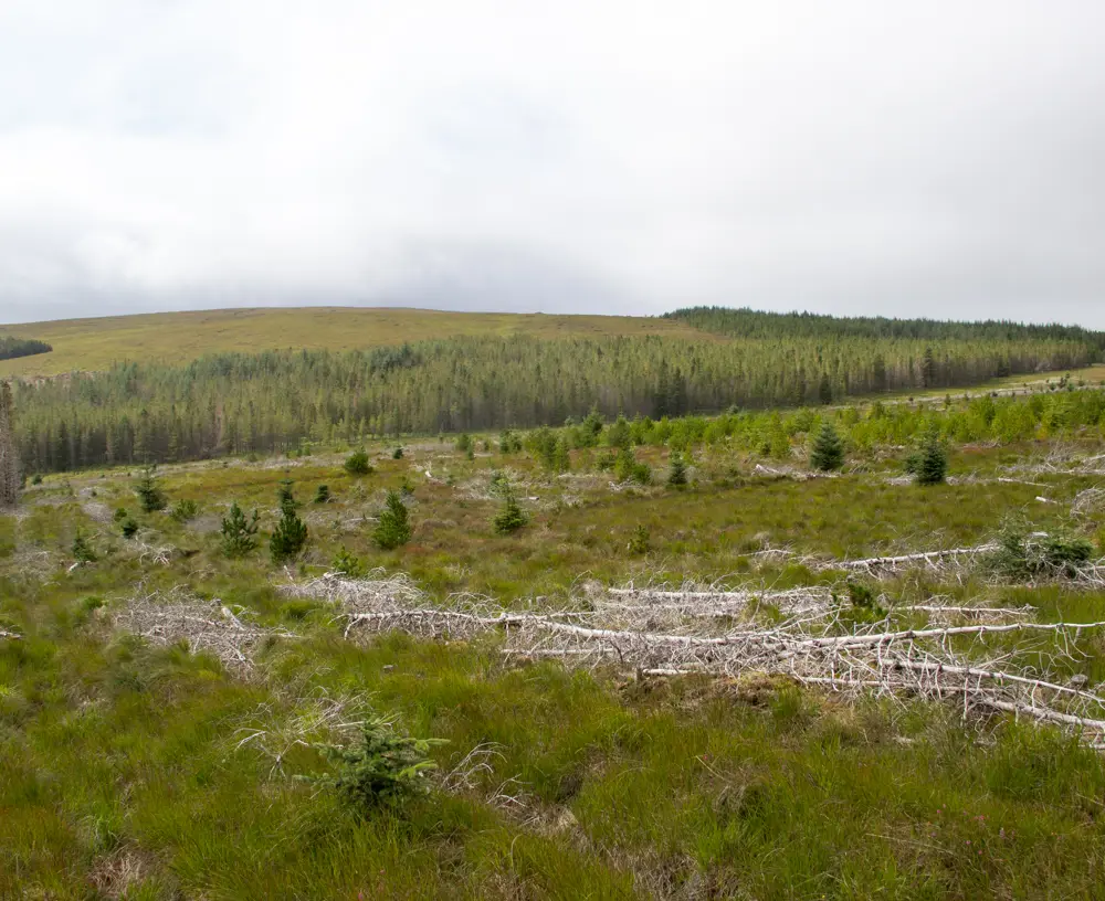 Craggie 2 general view from distance 3rd sept 2015 6176