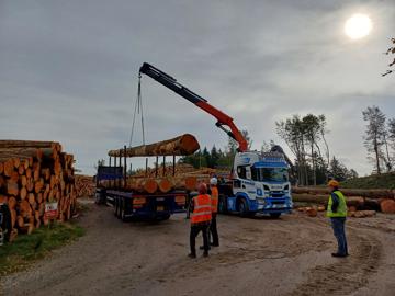 three men watch as a crane lowers a log to a flat bed truck. They are surrounded by piles of felled logs.