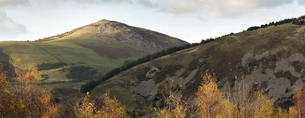 Trees with autumn leaves in the foreground and hills in the background.
