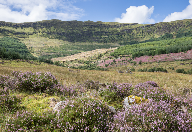Heather covered ground with a rock wall and grass covering the ruins of a Highland village with a mountain rage behind