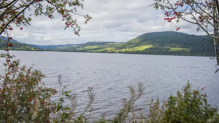View of Loch Ness through the trees.