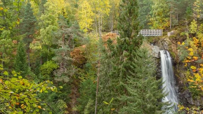 Waterfall in a woodland with a viewing platform above the waterfall.