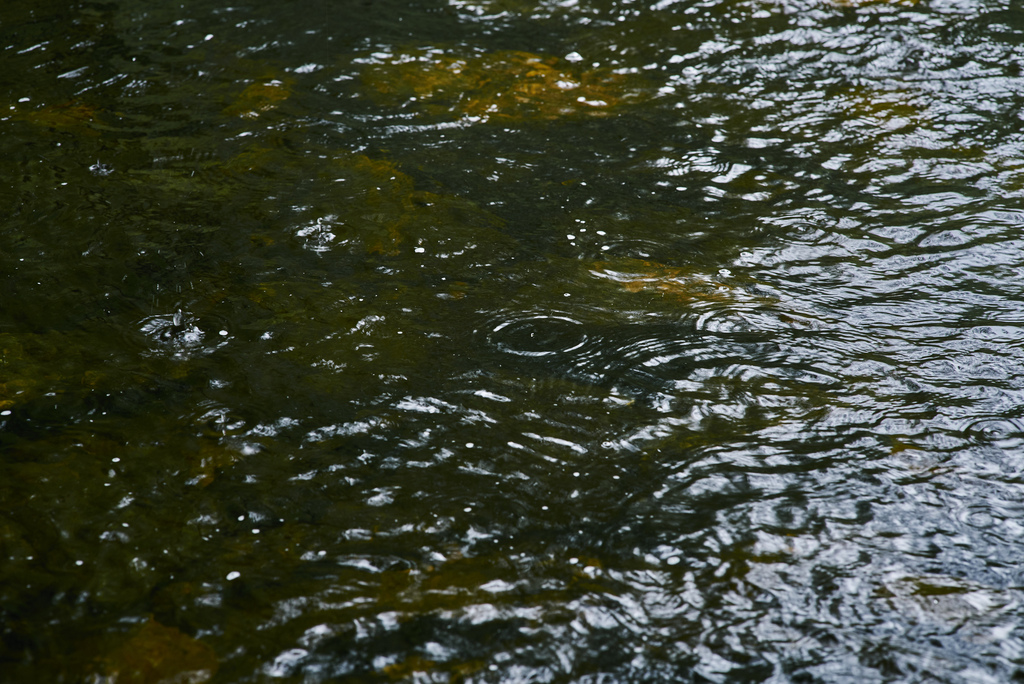 Rain droplets on water.
