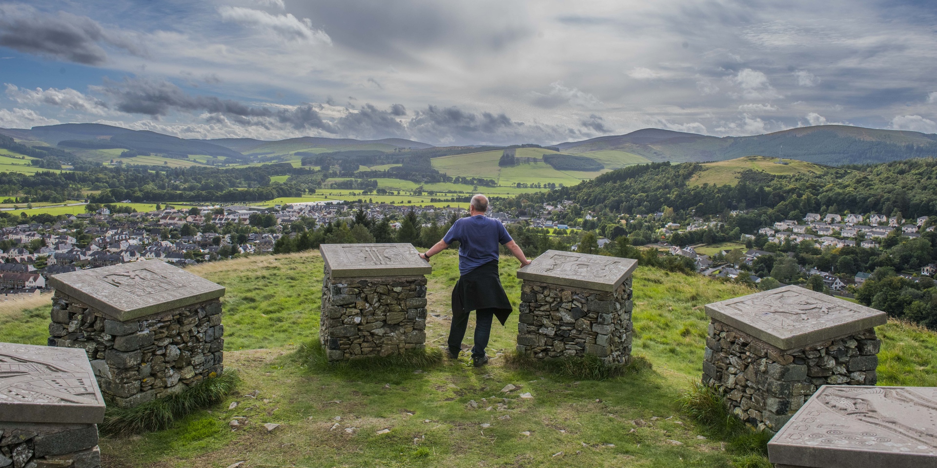 Drooping conifer branch