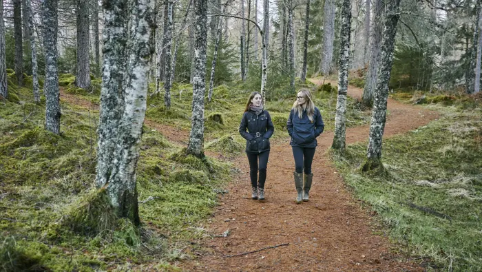 Two people walking along a path in a forest.
