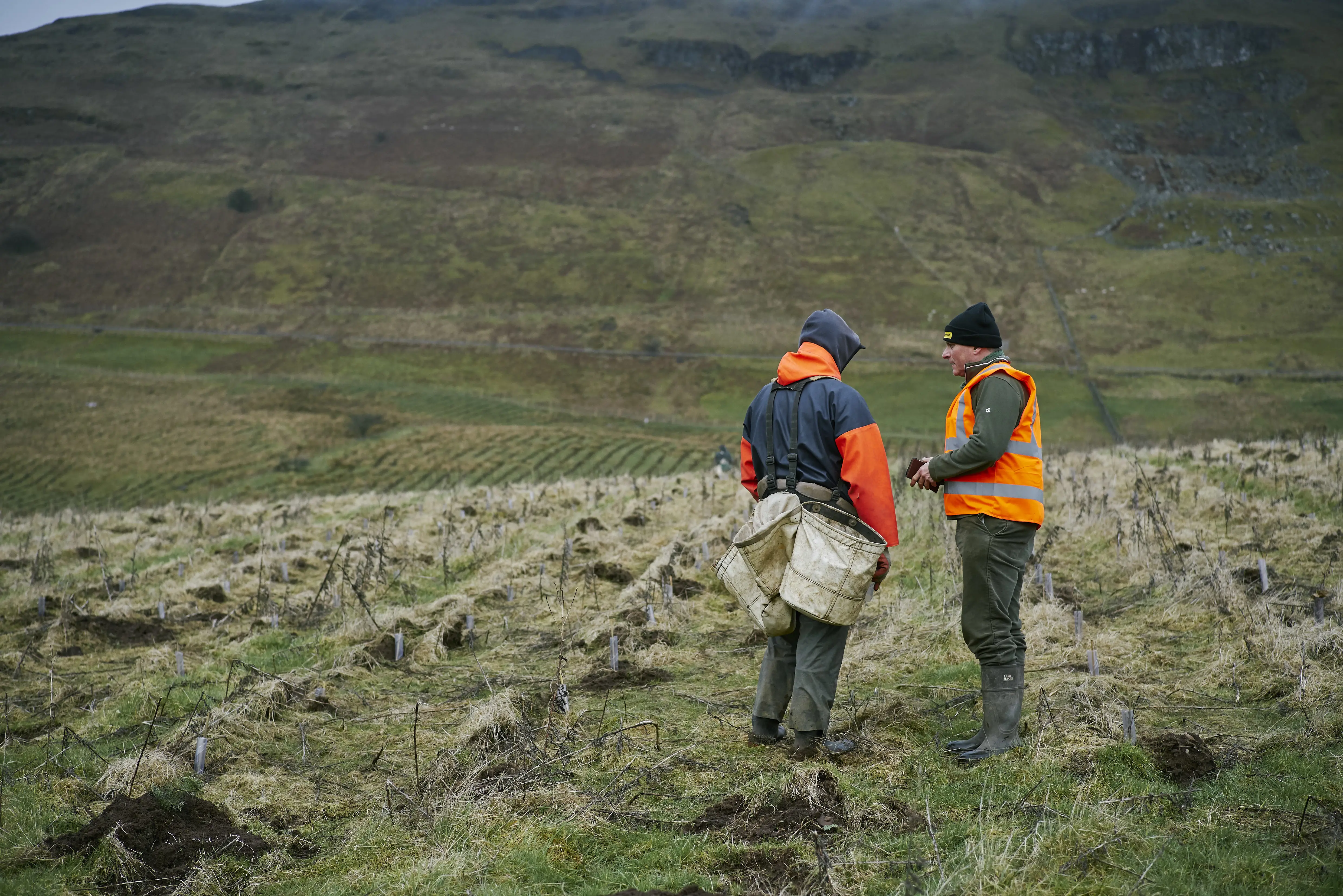 FLS staff planting trees