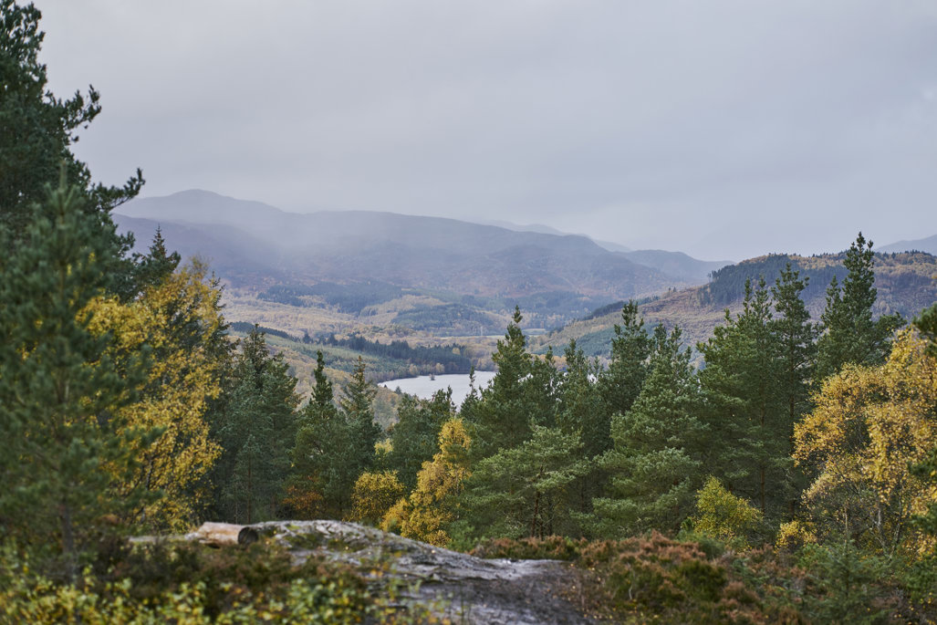 View over a forest with a loch and mountains in the background