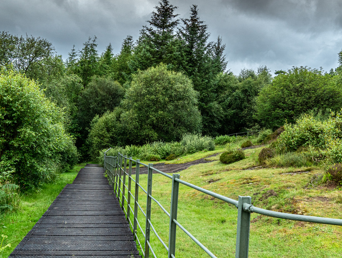 A wooden path next to stones with cut marks in a forest