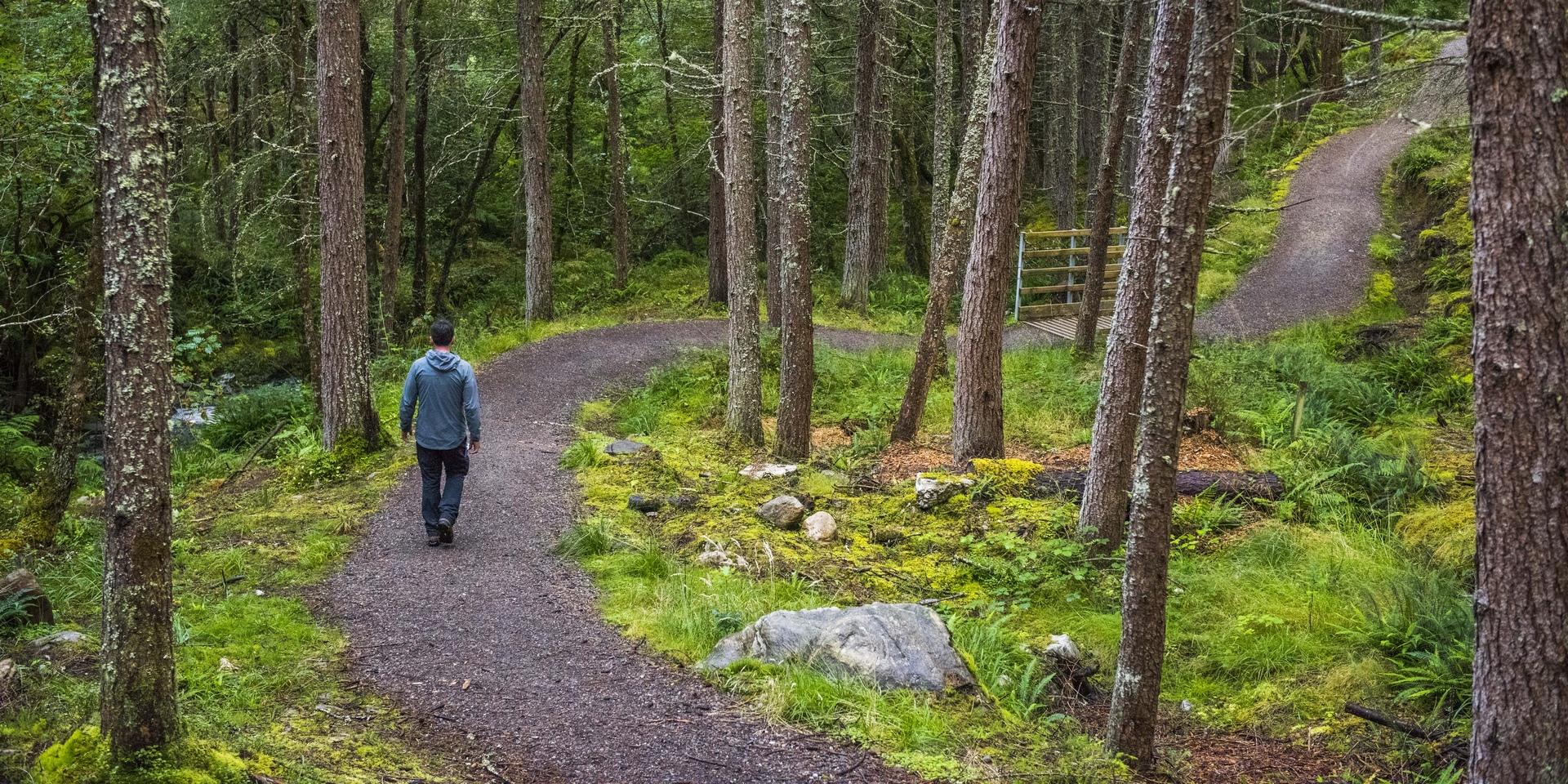 Close up of tree bark