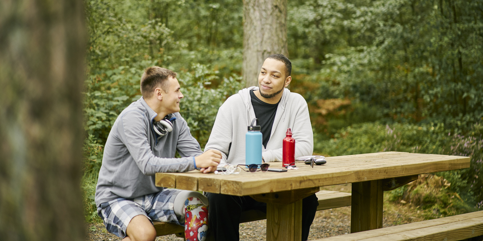 Drooping conifer branch