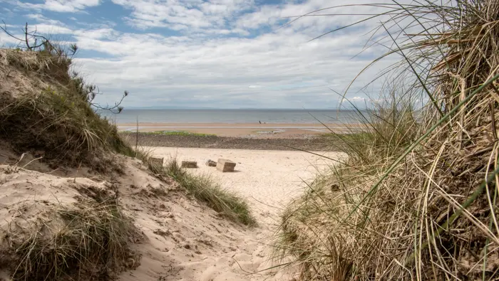 A sandy walkway to a white beach with dandelions and natural grasses on the edge
