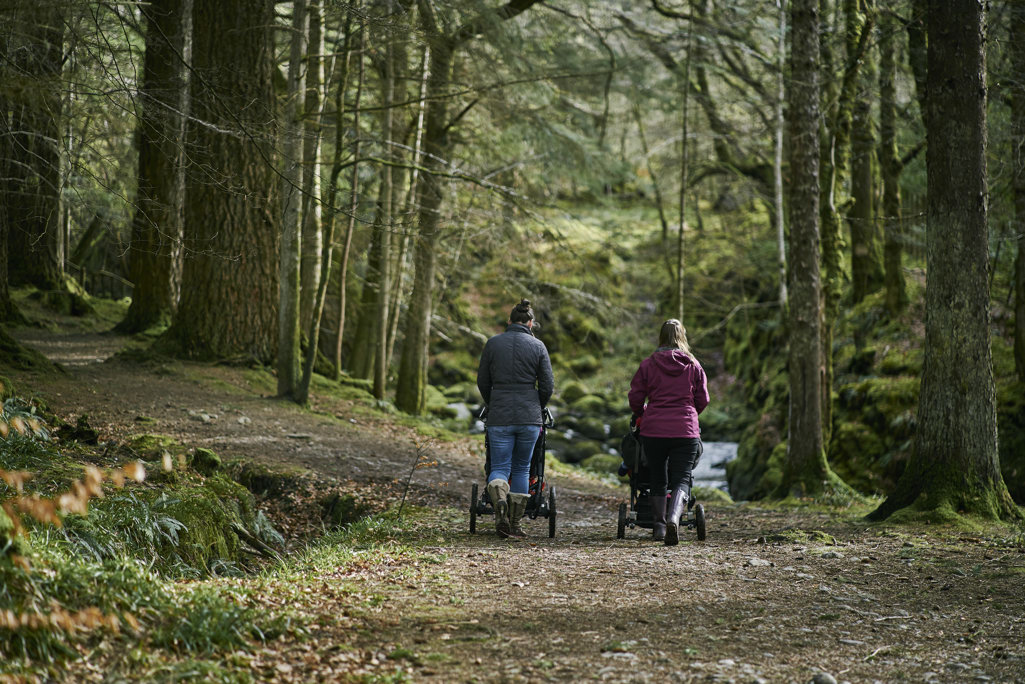 Two women pushing strollers on a wide forest path