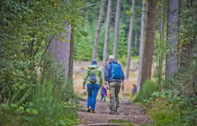 Two people on a forest path with tall trees on either side.