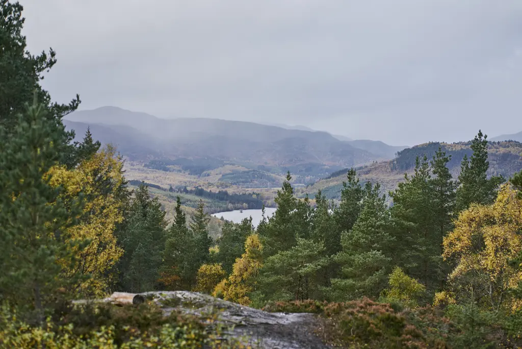 View over a forest with a loch and mountains in the background.