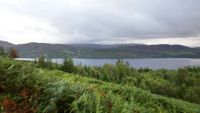View from a high point looking over a loch with bracken and trees in the foreground.