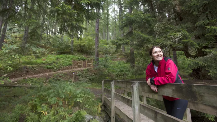 Person resting on a footbridge.
