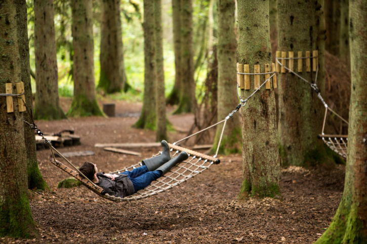 Person in a hammock strung up between two trees