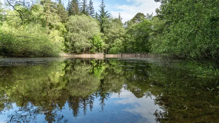 A reservoir in among a mixed woodland with the reflection gleaming on the water