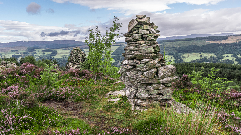 Stacks of stones on a hill with heather