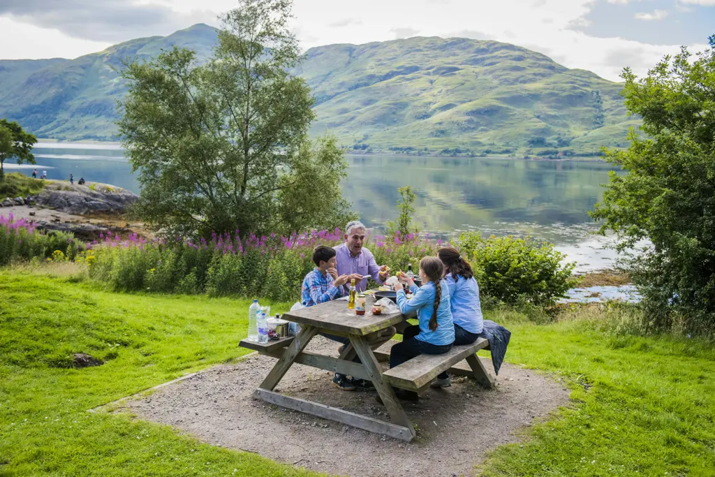 Family enjoying a picnic.