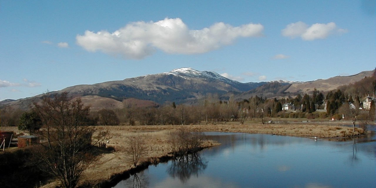 Close up of tree bark