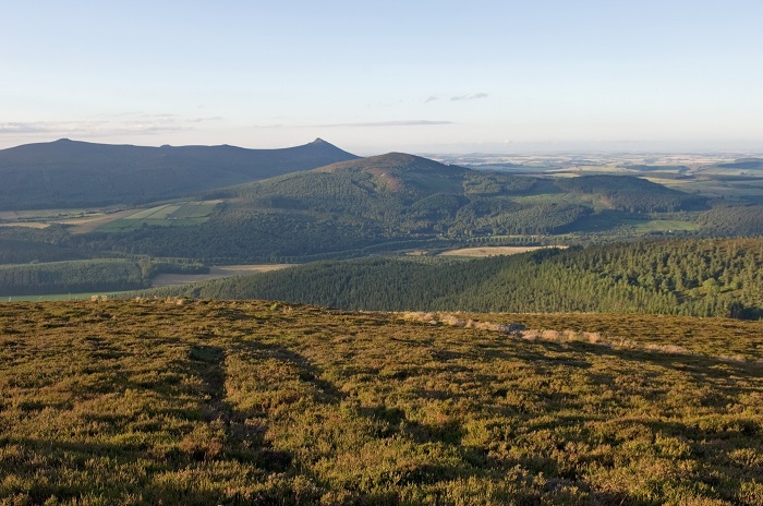 Landscape view of mixed country side with distinctive pointed hill in distance