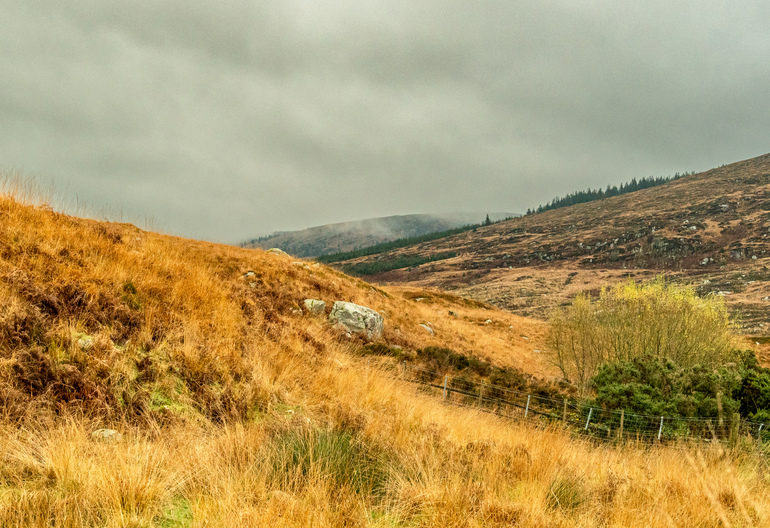 A grassy hillside with fog and mountains in the background 