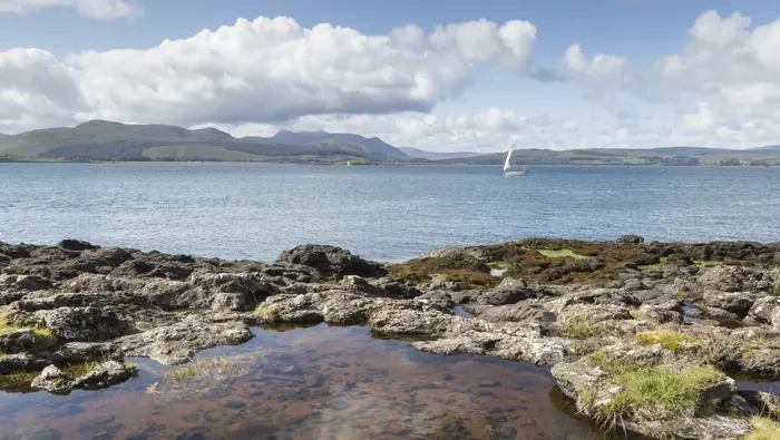 A small pool of water standing no a stony shore with natural grass and a sail boat in the water