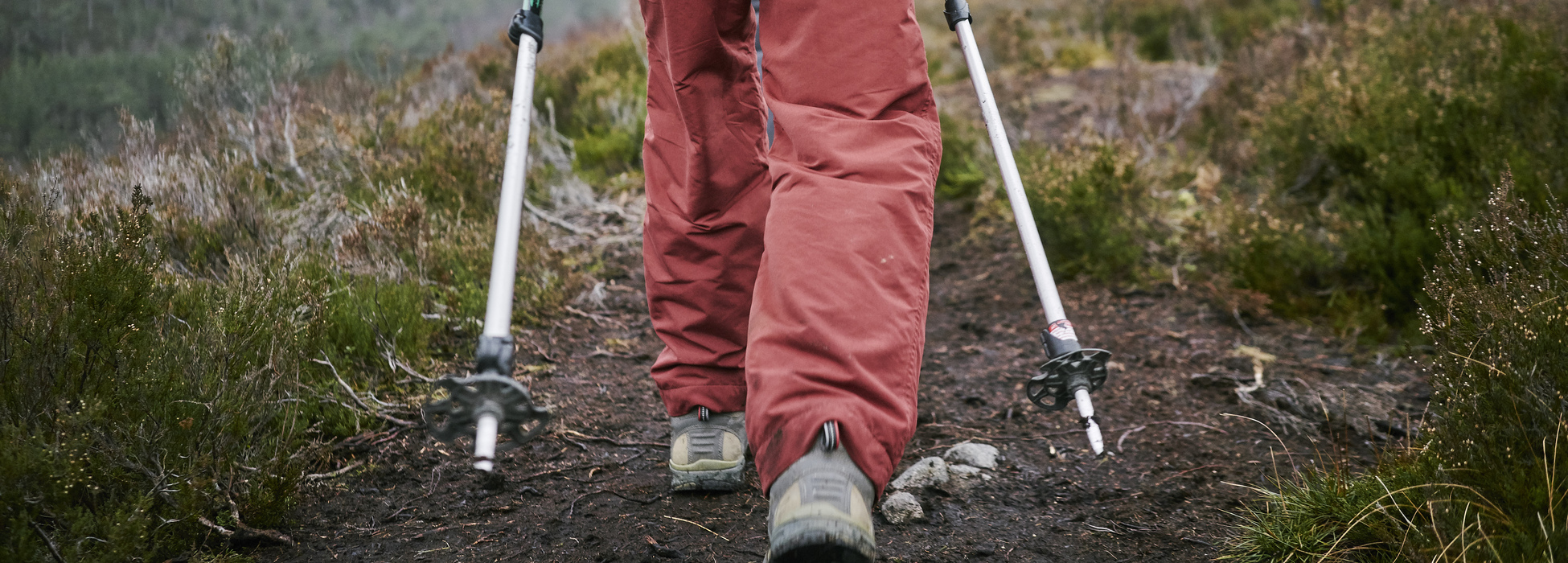 Close up of tree bark