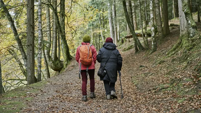 Two people walking along a forest path.