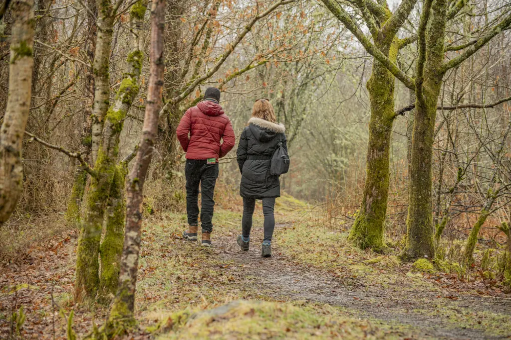 Two people walking on a forest path in autumn.