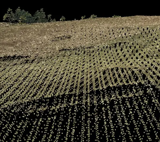 Laser scan showing a patchwork of points.