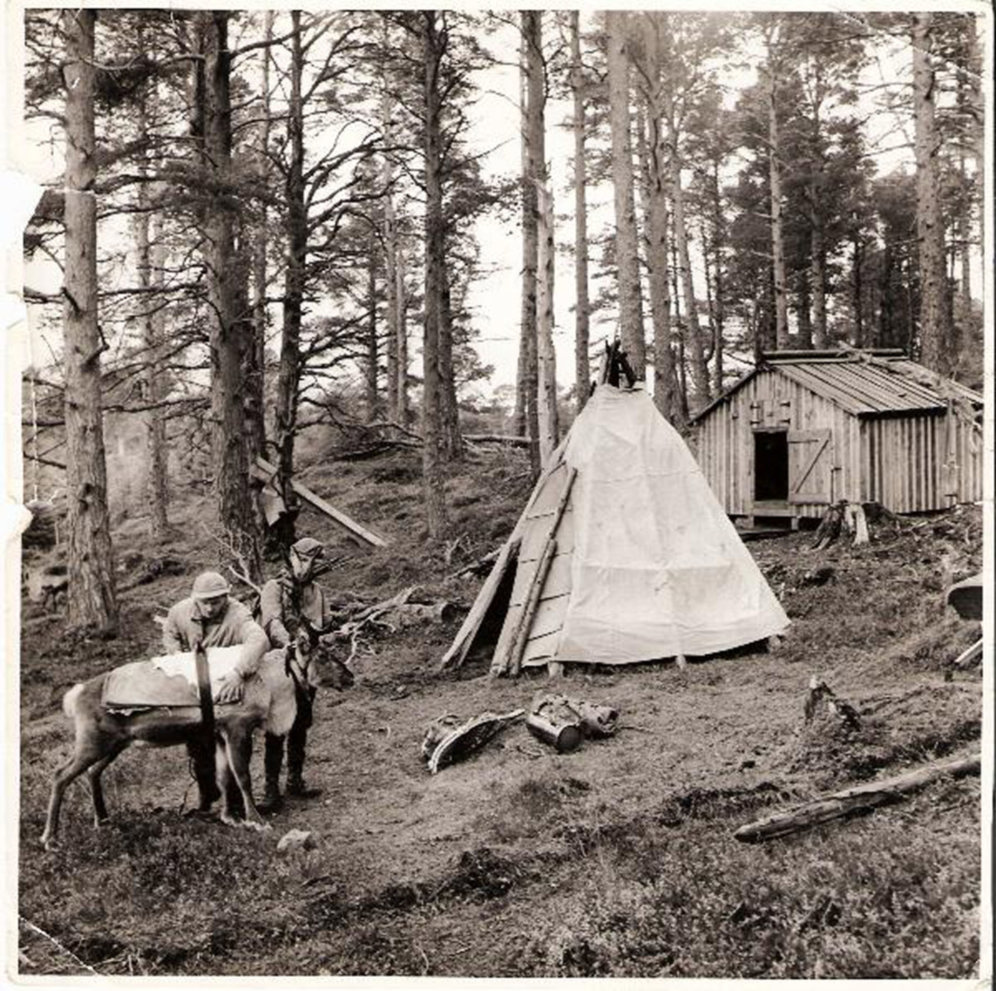 Two people next to a reindeer in the forest with hut in the backround.