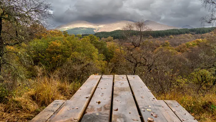 A picnic bench overlooking an autumn forest canopy with mountains in the background