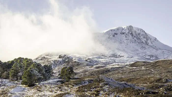 snow capped mountain with a small forest in-front of it