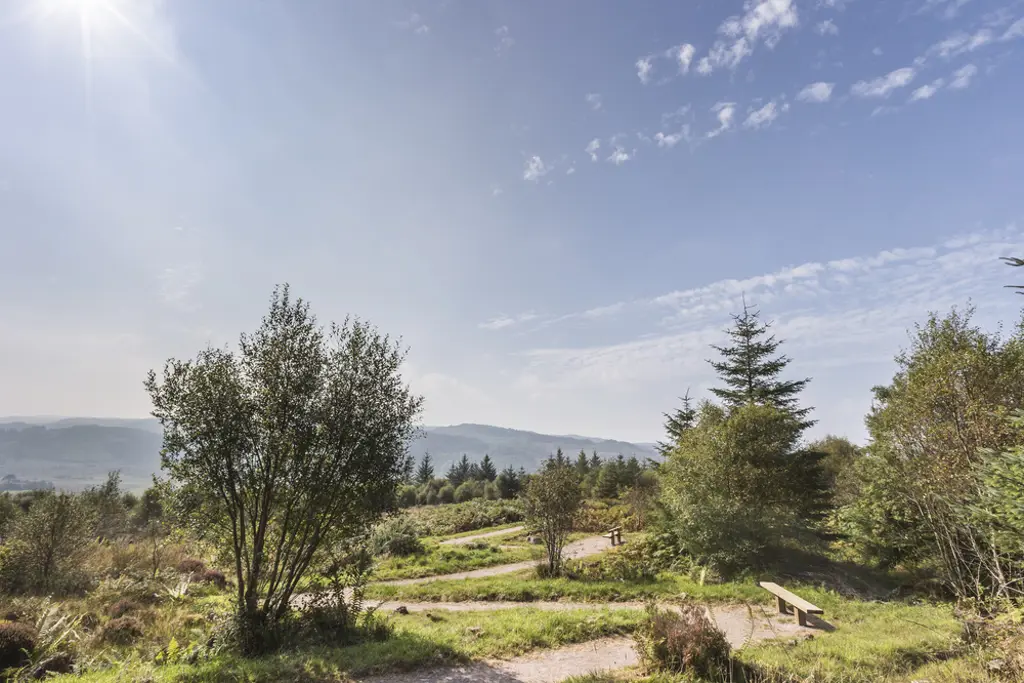 Curved paths and a bench in the foreground with a blue sky and the sun in the top left hand corner of the image.