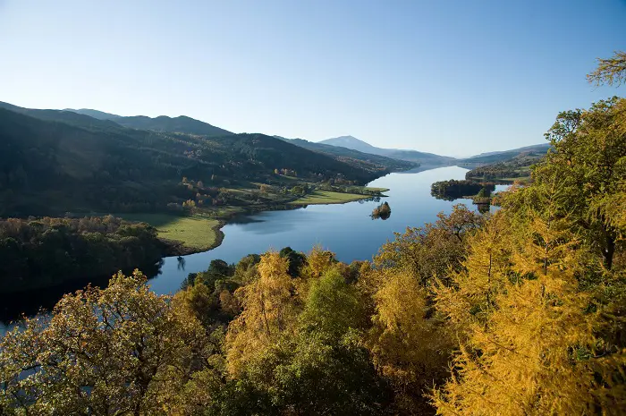 View out over some trees to a long and thin loch in still, bright conditions