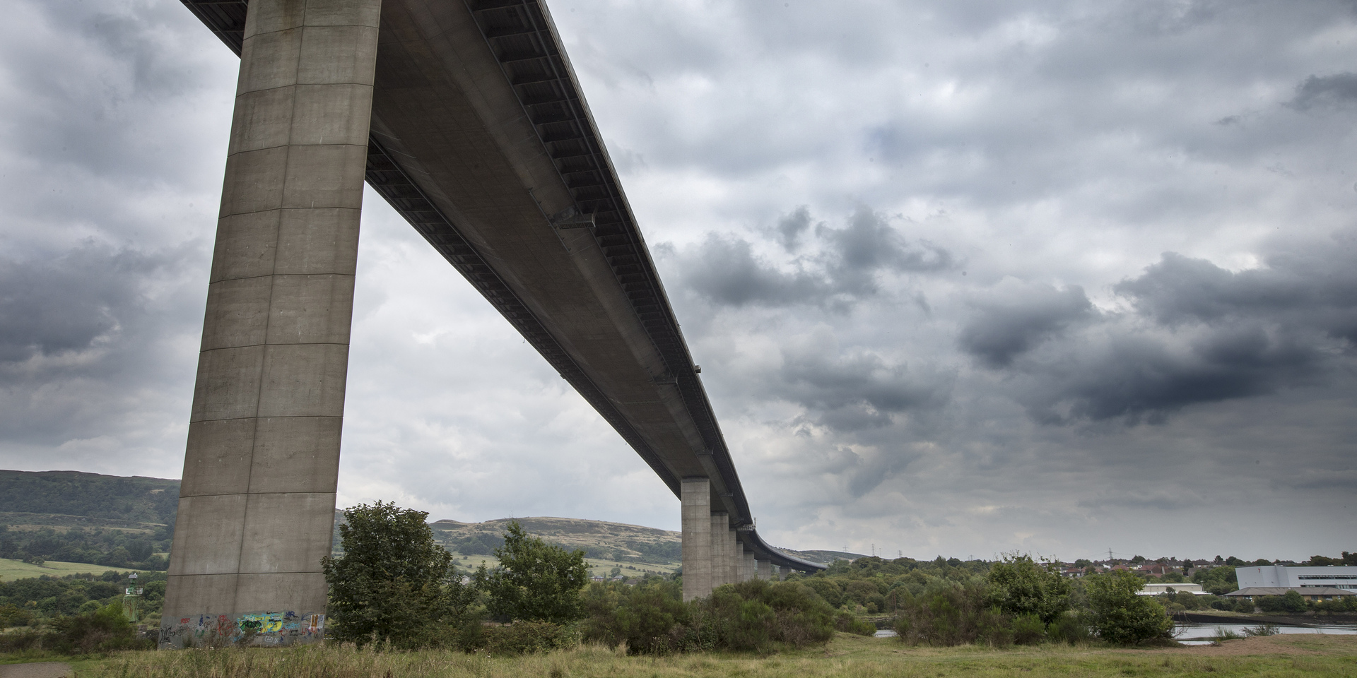 Close up of tree bark