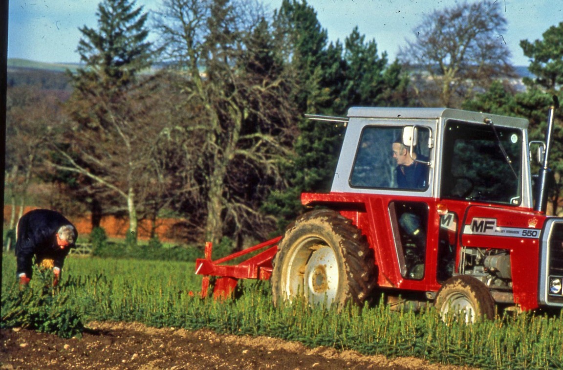 Red tractor moving machinery through a field of green trees