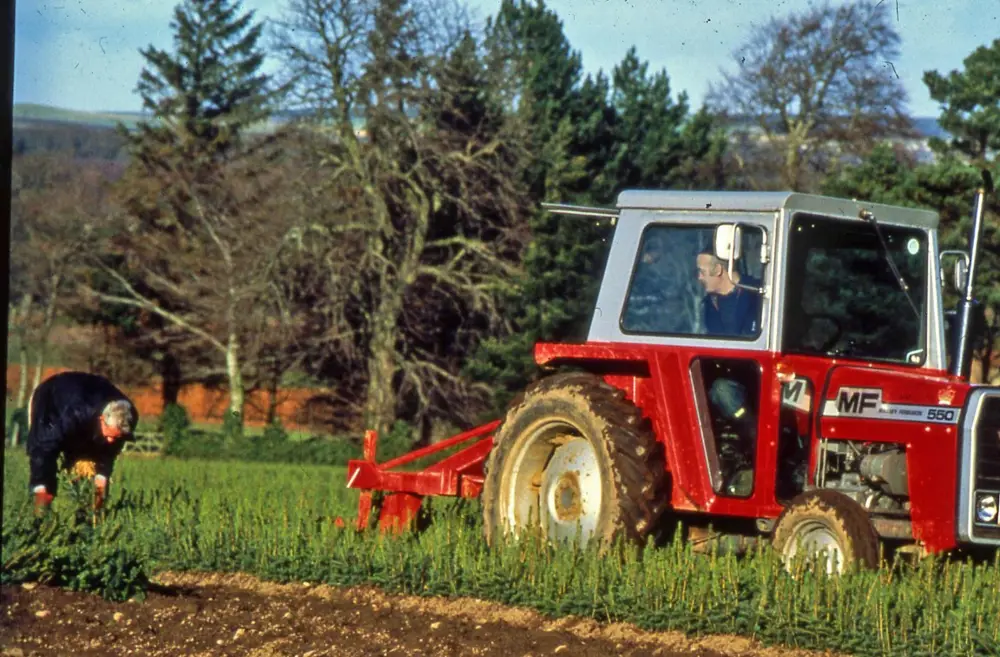Red tractor moving machinery through a field of green trees