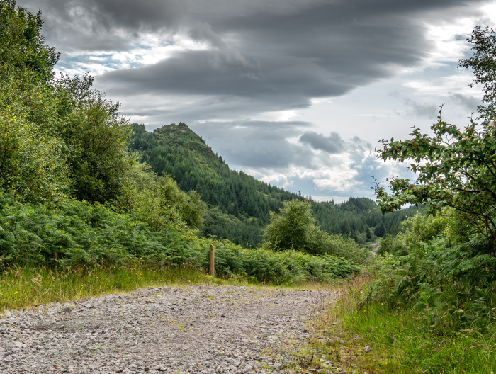 Gravel road with a sign post with a hill behind